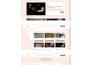 build you the website you need